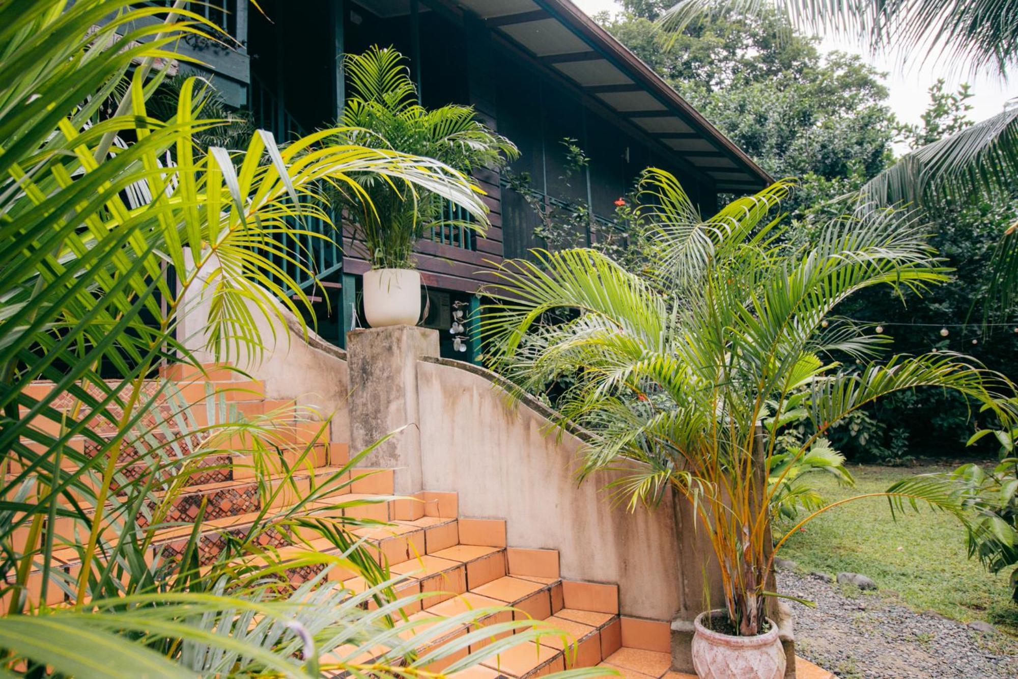 Casa De Mono Bocas Big Creek Exterior foto