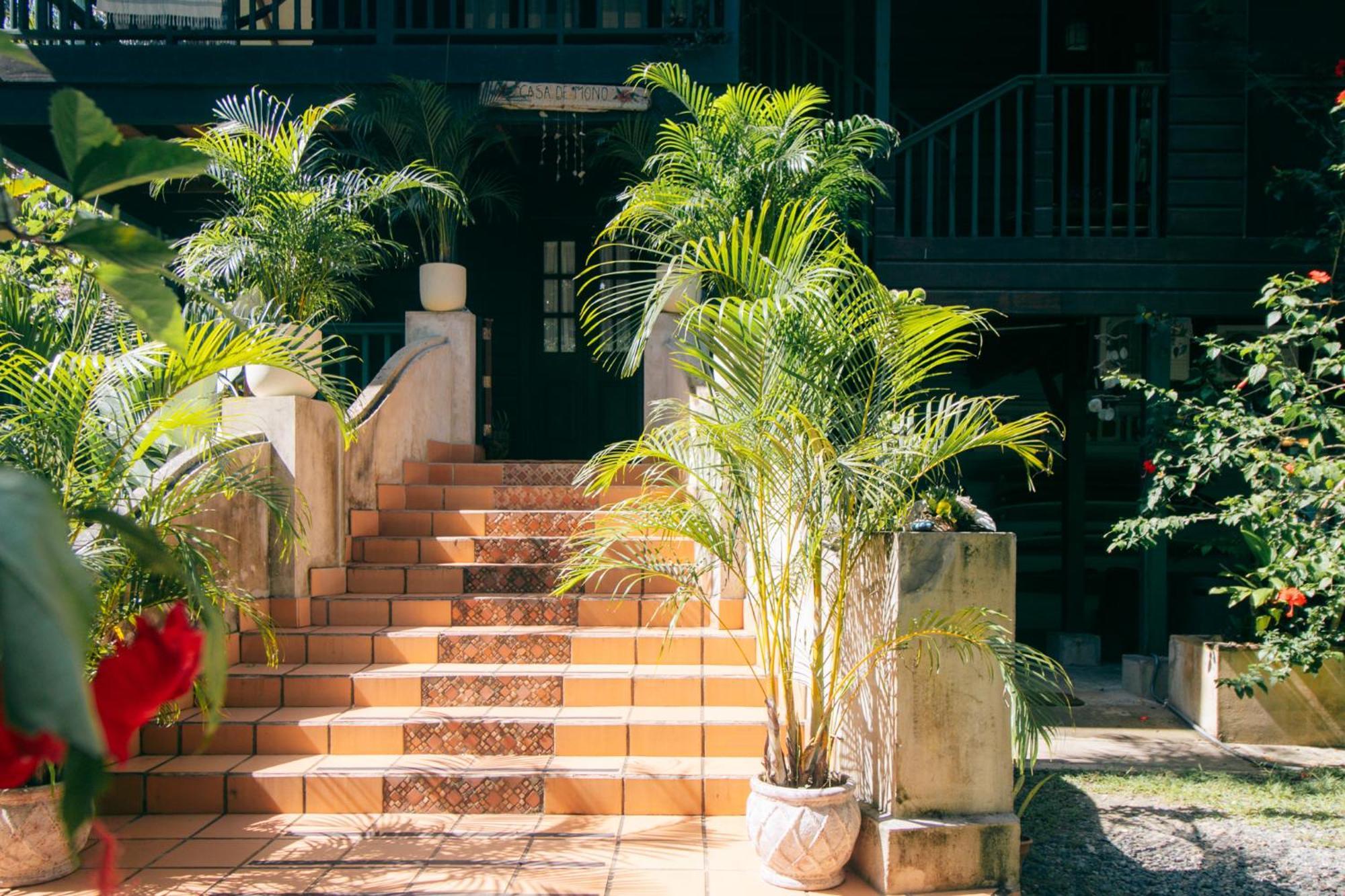Casa De Mono Bocas Big Creek Exterior foto